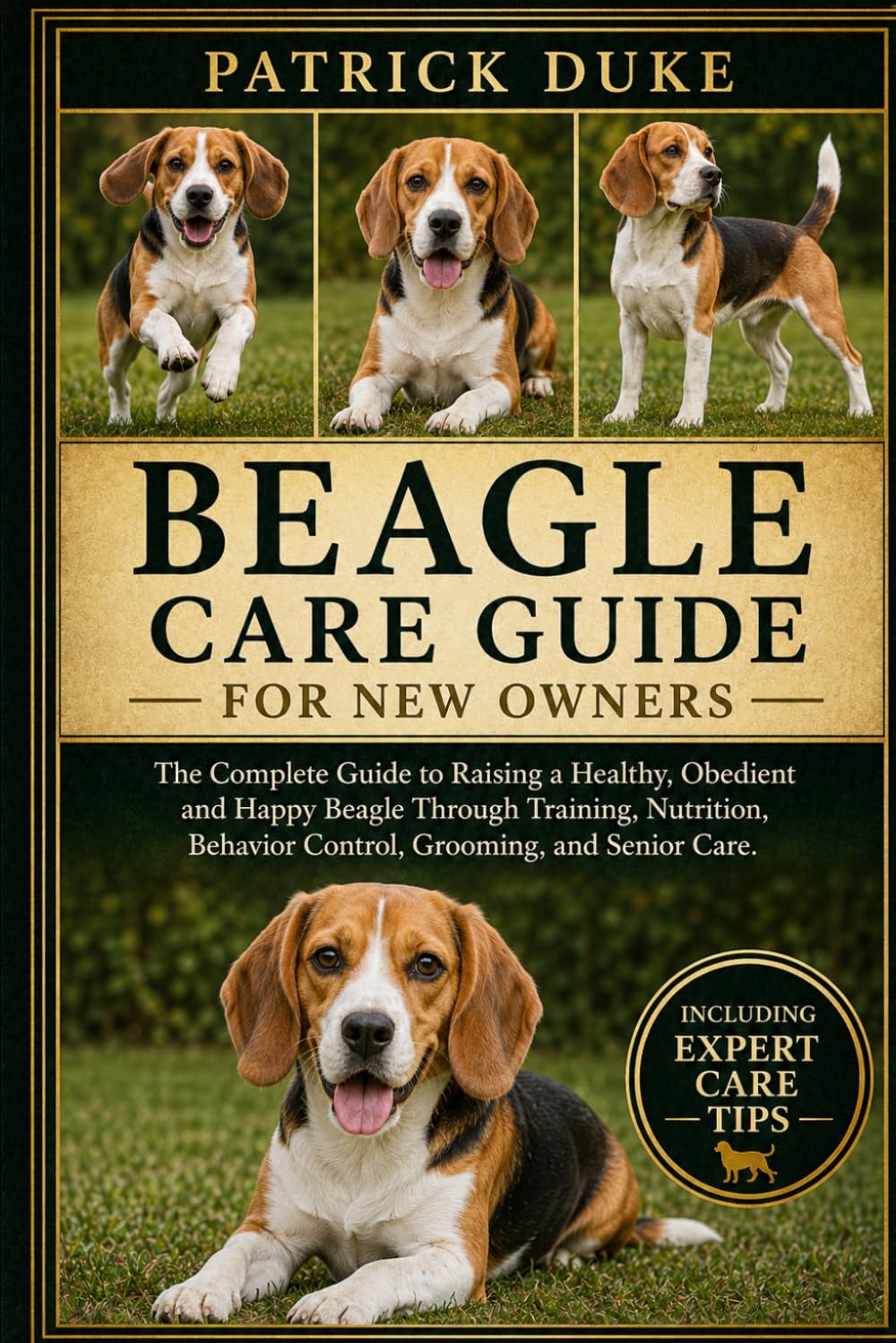 Beagle Care Guide for New Owners: The Complete Guide to Raising a Healthy, Obedient and Happy Beagle Through Training, Nutrition, Behavior Control, Grooming, and Senior Care. baixar livro de graça