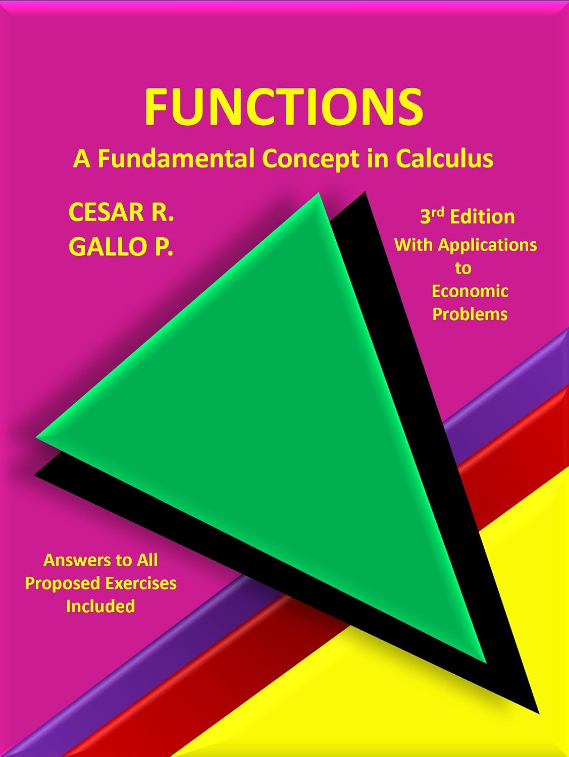 capítulo por capítulo baixar Functions: A Fundamental Conceopt in Calculus (English Edition)