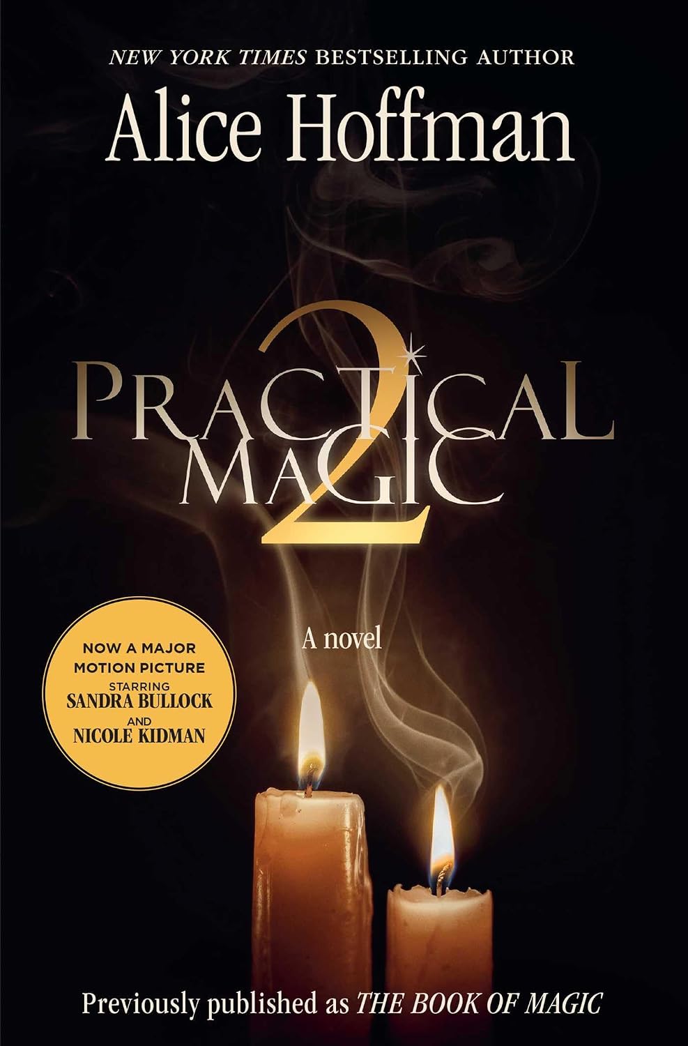 ler totalmente The Book of Magic (The Practical Magic Series 4) (English Edition)