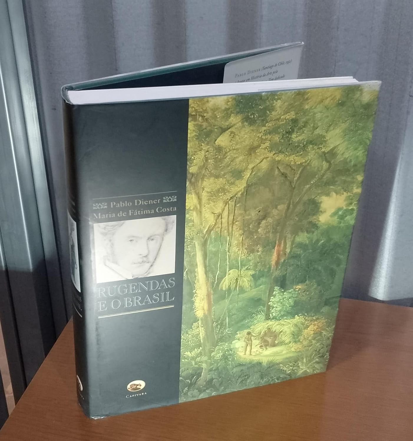Rugendas E O Brasil baixar livro de graça
