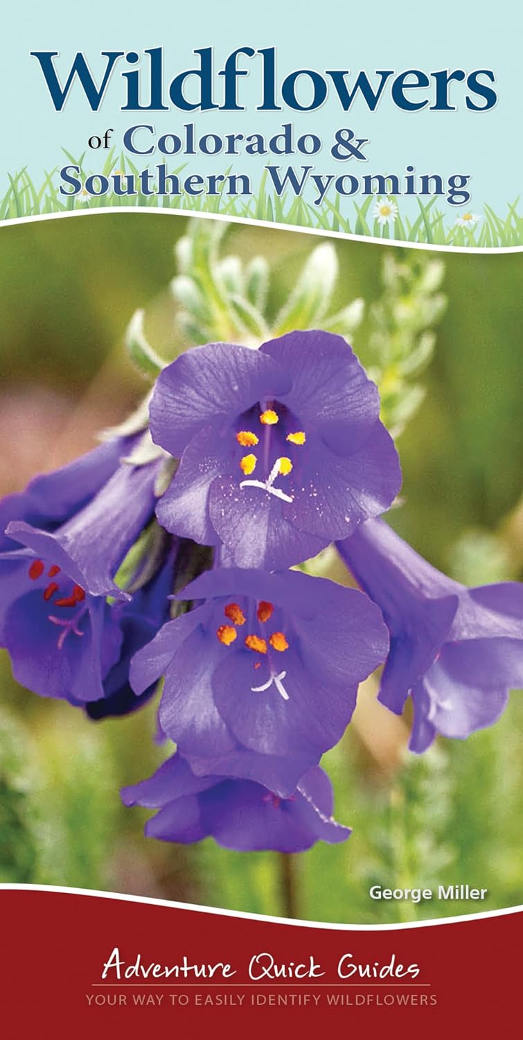 Wildflowers of Colorado & Southern Wyoming: Your Way to Easily Identify Wildflowers baixar livro de graça