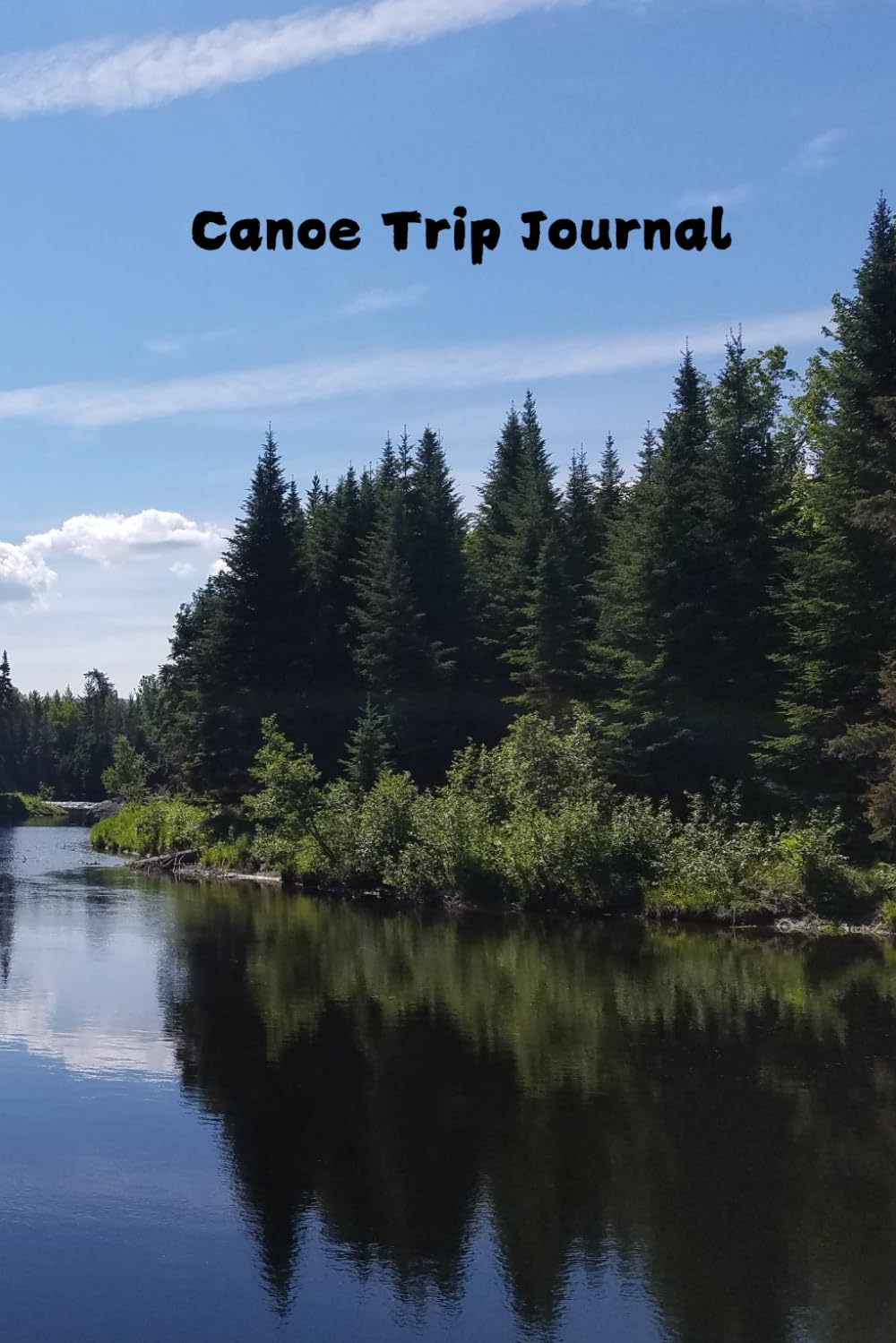capítulo por capítulo baixar Canoe Trip Group Journal