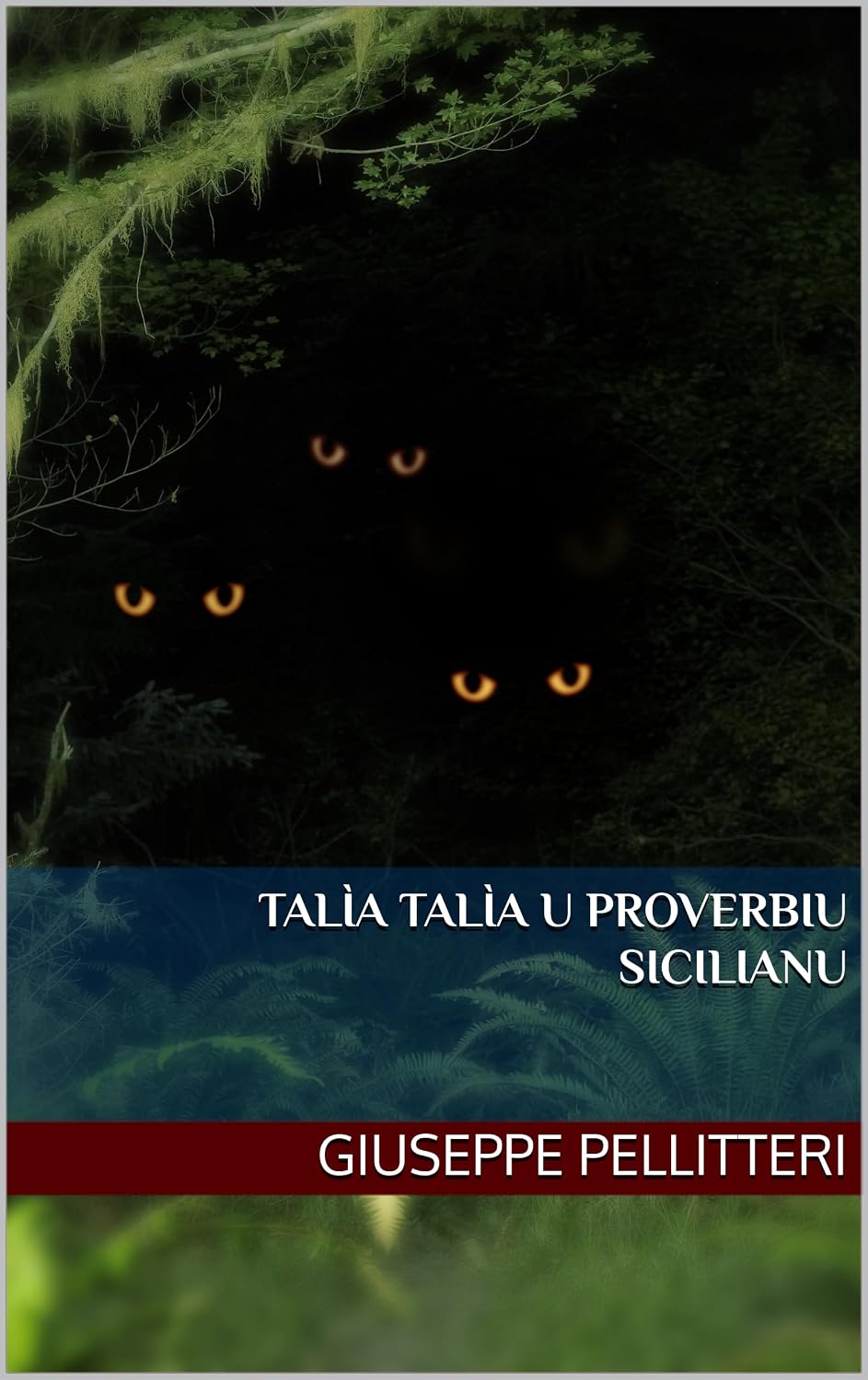 ler totalmente Talìa Talìa U Proverbiu Sicilianu: L'Antica Saggezza Popolare (Italian Edition)