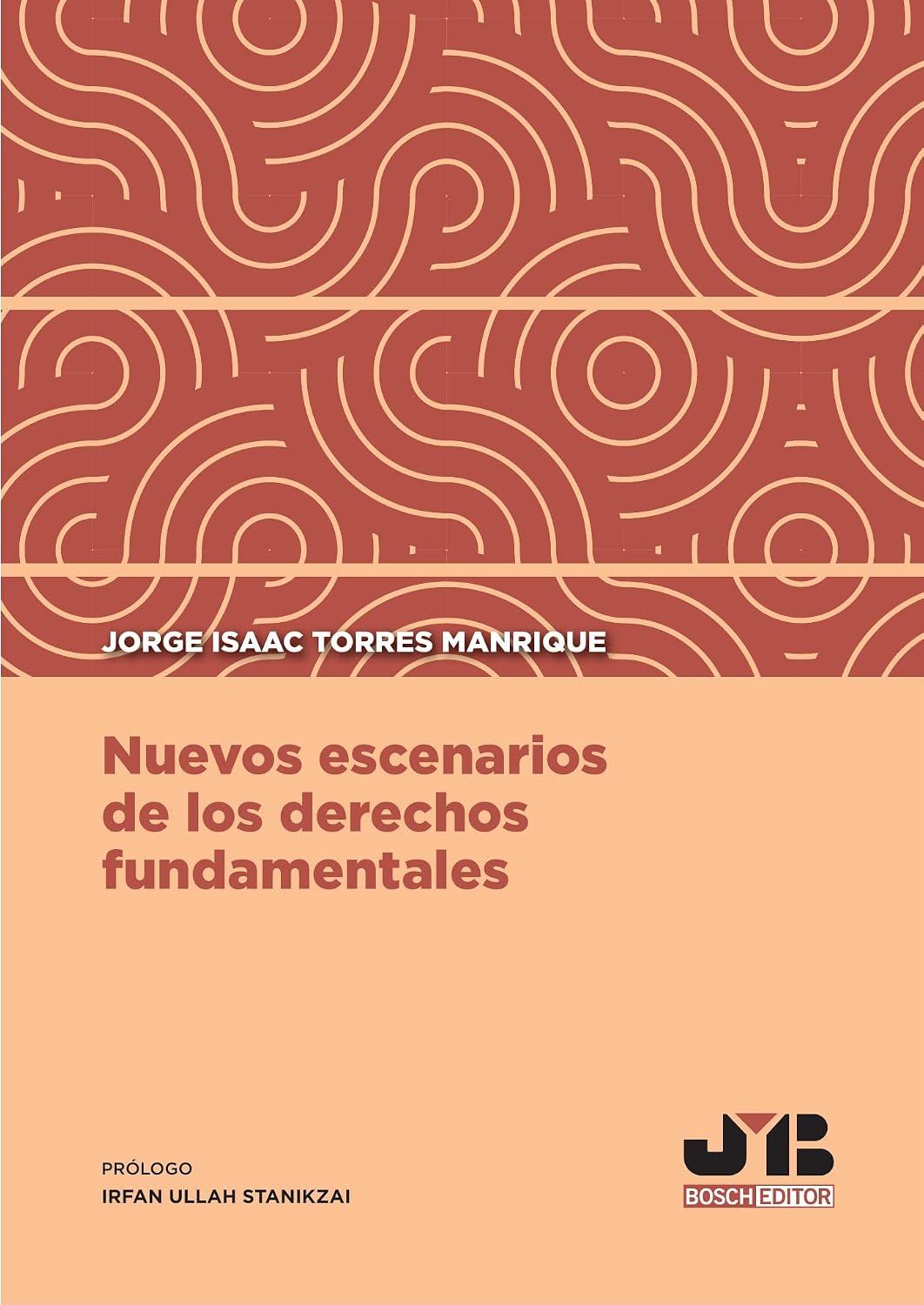 ler totalmente Nuevos escenarios de los derechos fundamentales (Spanish Edition)