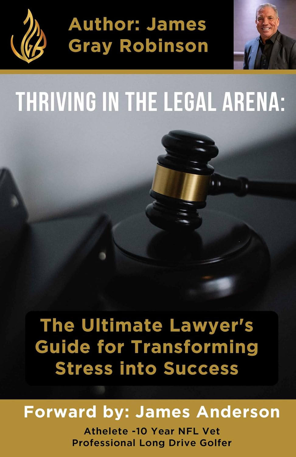 Thriving in the Legal Arena: The Ultimate Lawyer's Guide for Transforming Stress into Success (English Edition) baixar o livro de graça