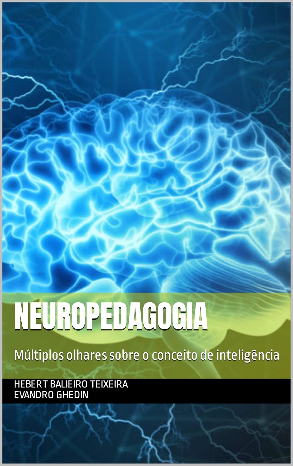 Neuropedagogia: Múltiplos olhares sobre o conceito de inteligência baixar livro de graça