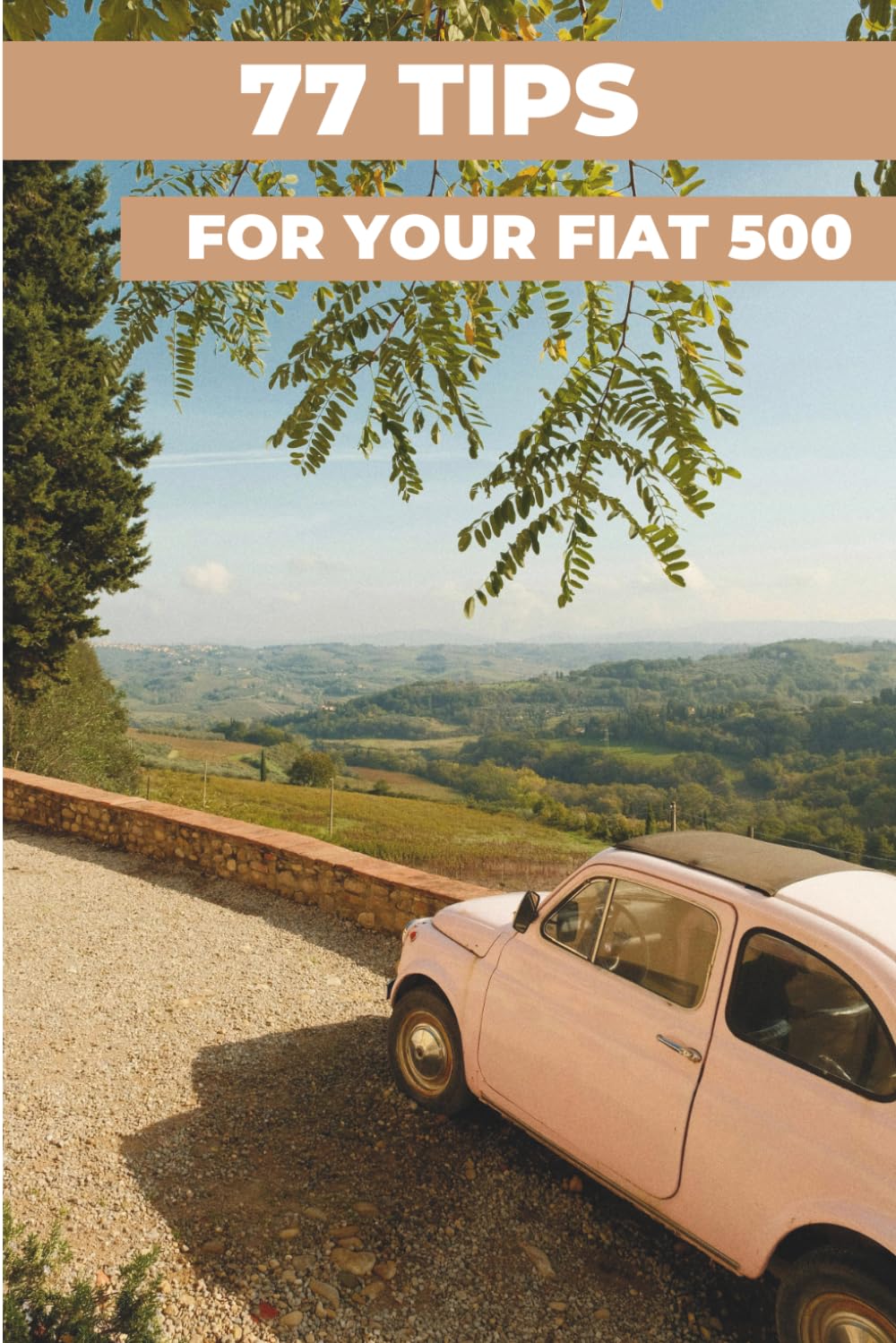 ler totalmente 77 PRO TIPS FOR YOUR FIAT 500: “The best-kept secrets”