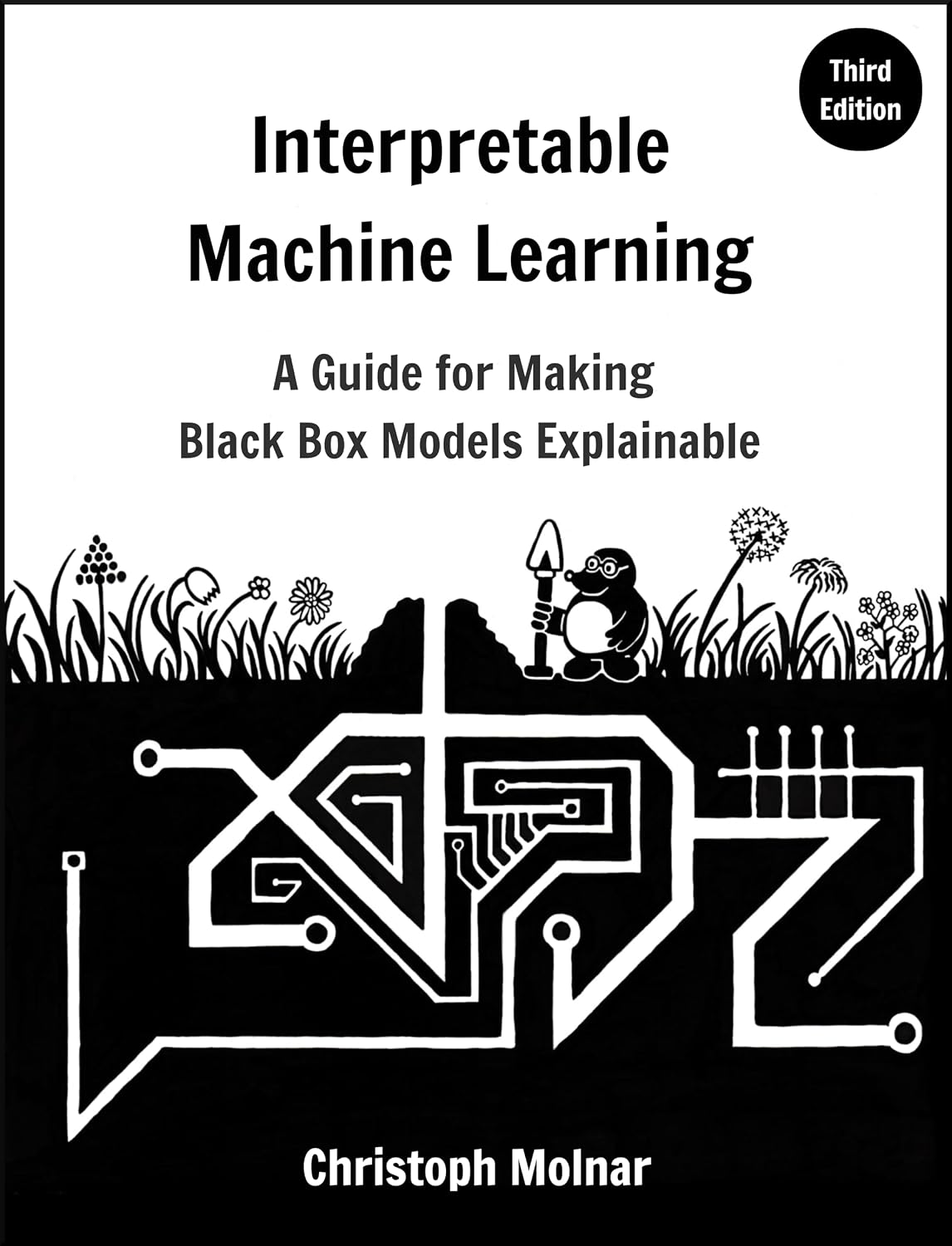 ler totalmente Interpretable Machine Learning: A Guide For Making Black Box Models Explainable (English Edition)