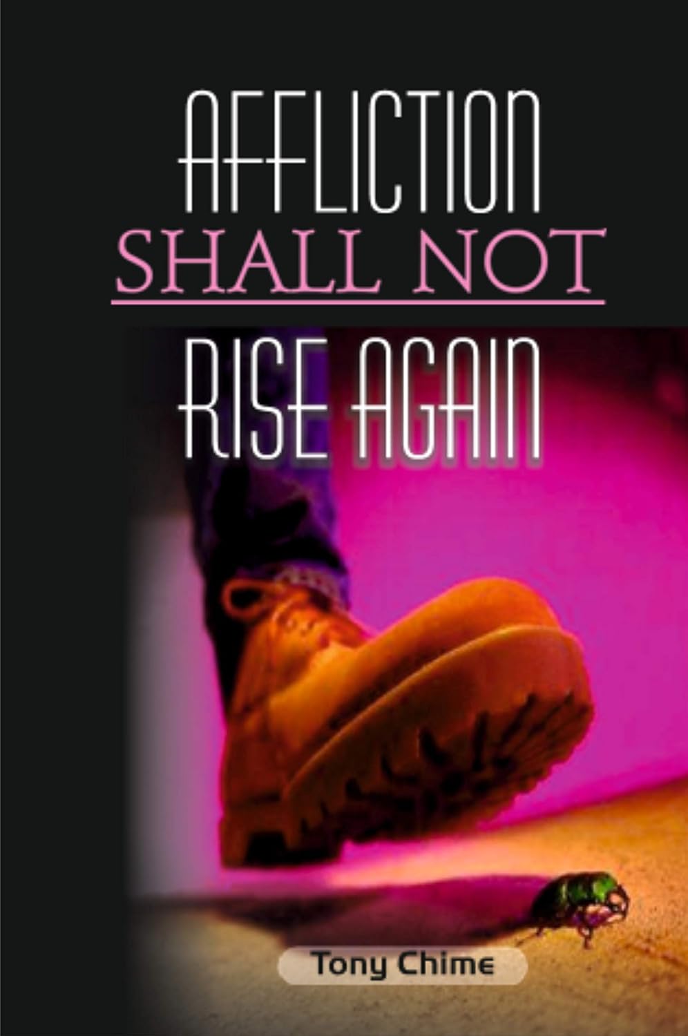 Affliction Shall Not Rise Again (English Edition) baixar o livro de graça