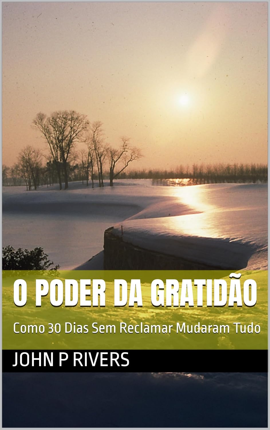 O Poder da Gratidão: Como 30 Dias Sem Reclamar Mudaram Tudo baixar o livro de graça
