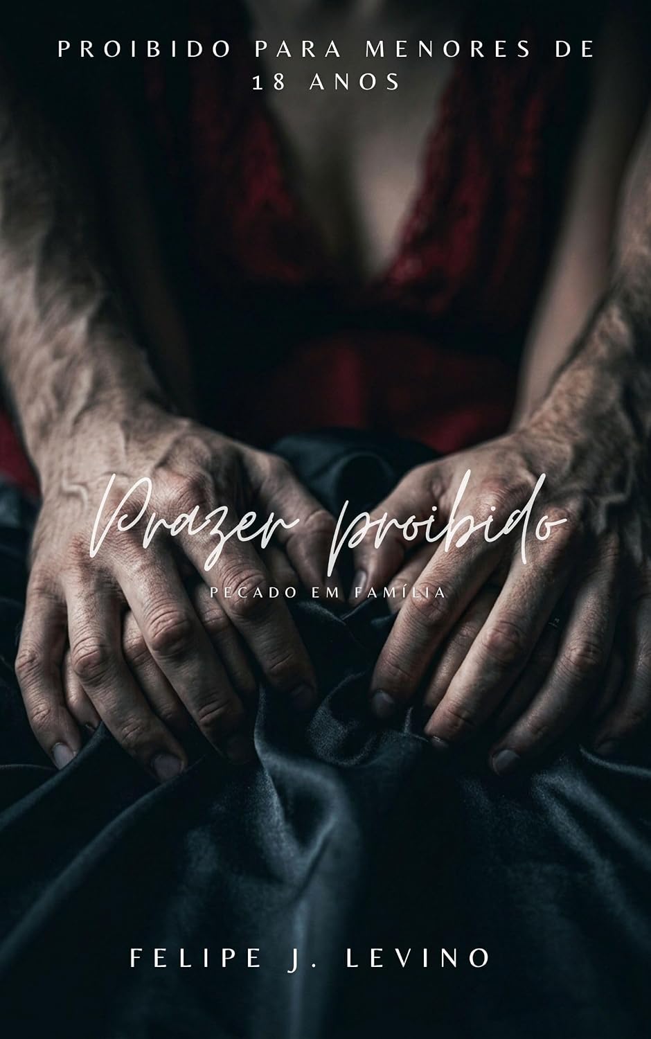 Prazer Proibido - Pecado em Família: contos eróticos baixar o livro de graça