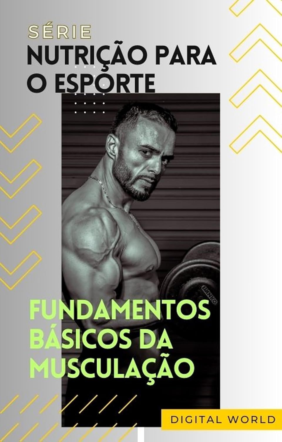 Fundamentos básicos da musculação (Nutrição para o Esporte Livro 2) baixar o livro de graça