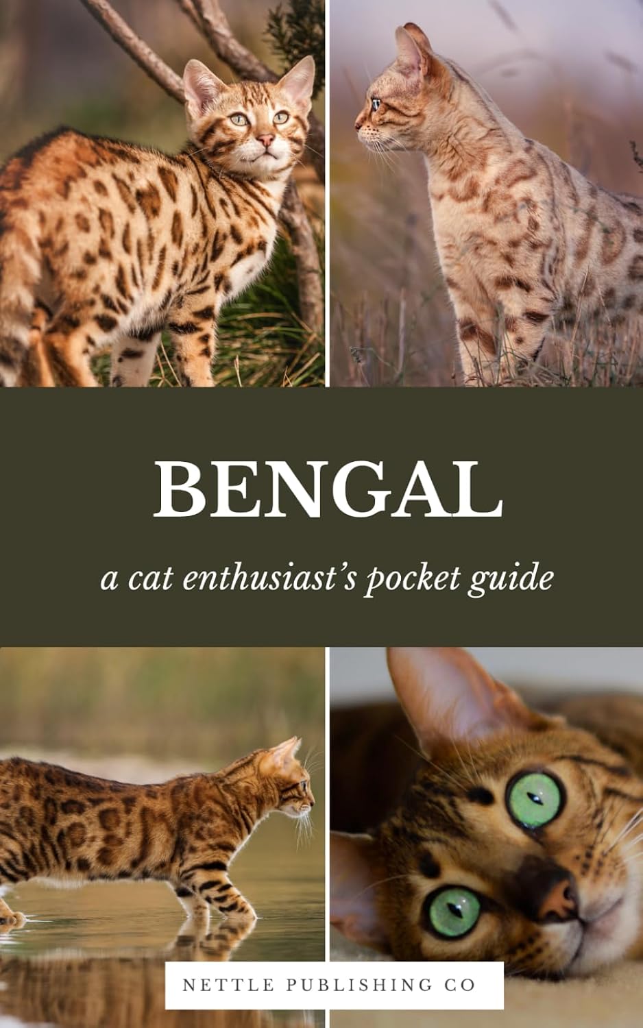 Bengal Cats | A Complete Pocket Guide: Breed-Specific Care Handbook With Pet Passport with Records Logbook baixar o livro de graça