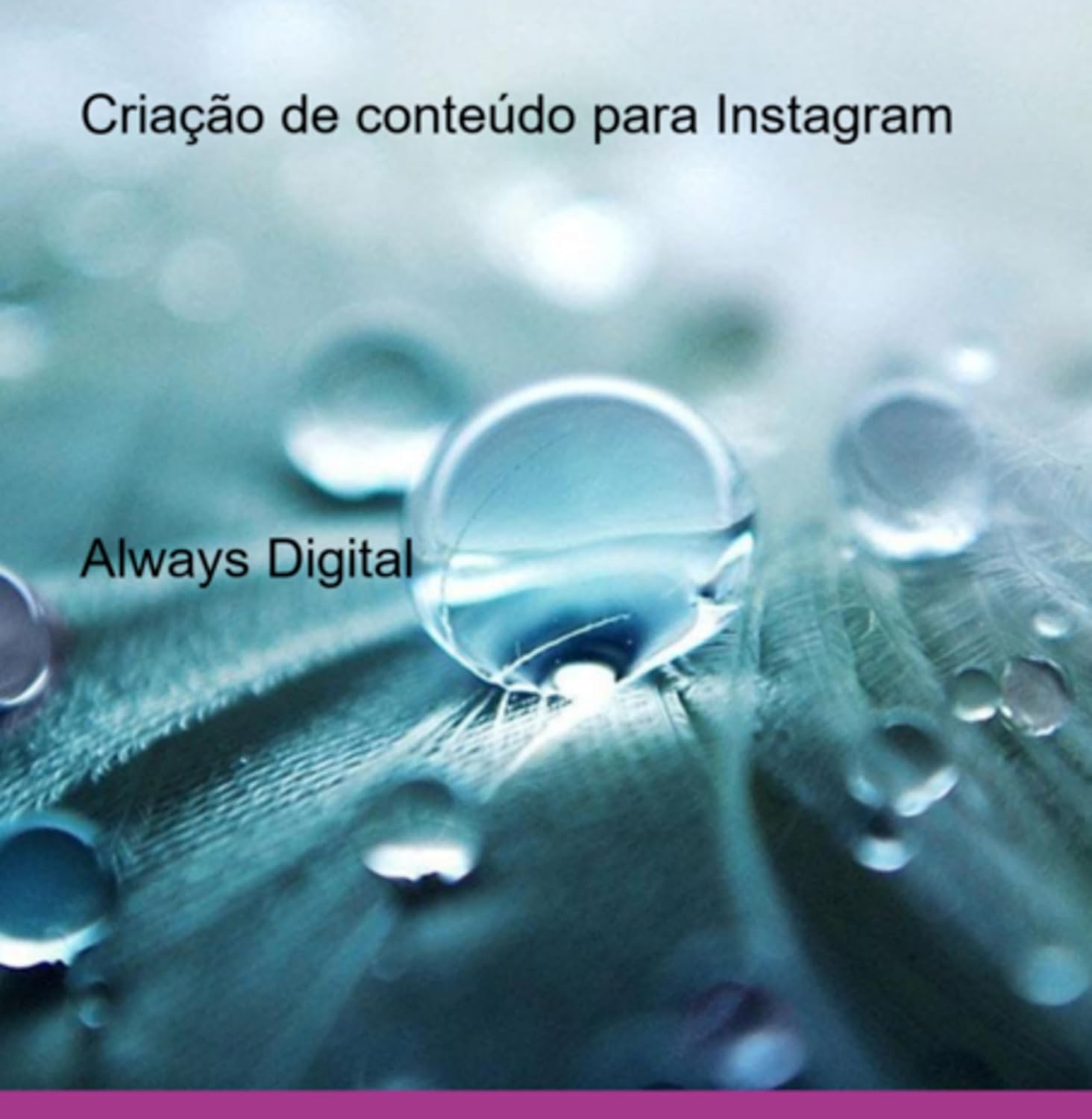 Criação De Conteúdo Para Instagram baixar livro de graça