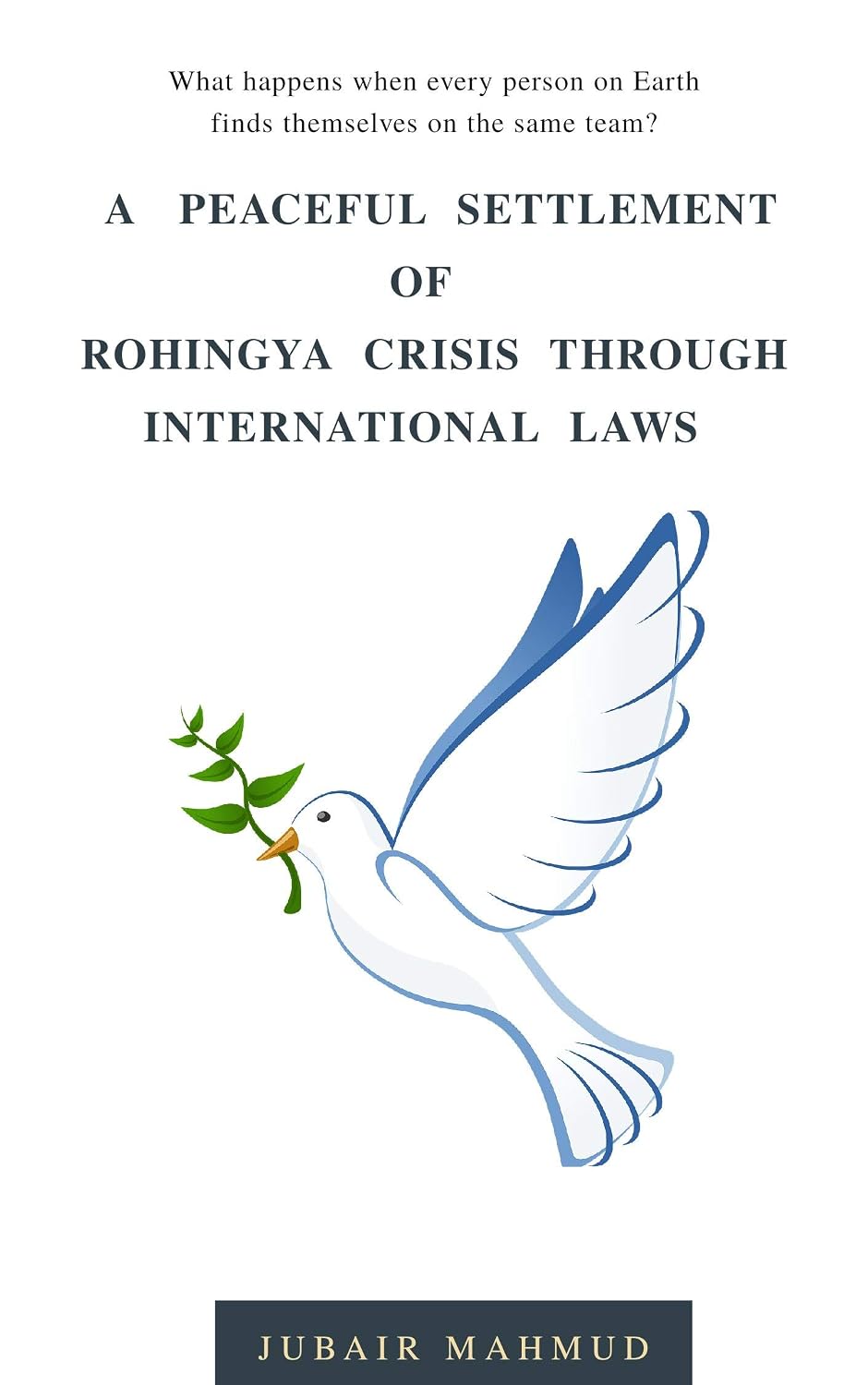 A Peaceful Settlement of Rohingya Crisis Through International laws (English Edition) baixar livro de graça