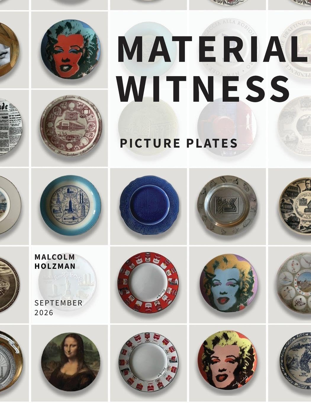 Material Witness - Picture Plates baixar livro de graça