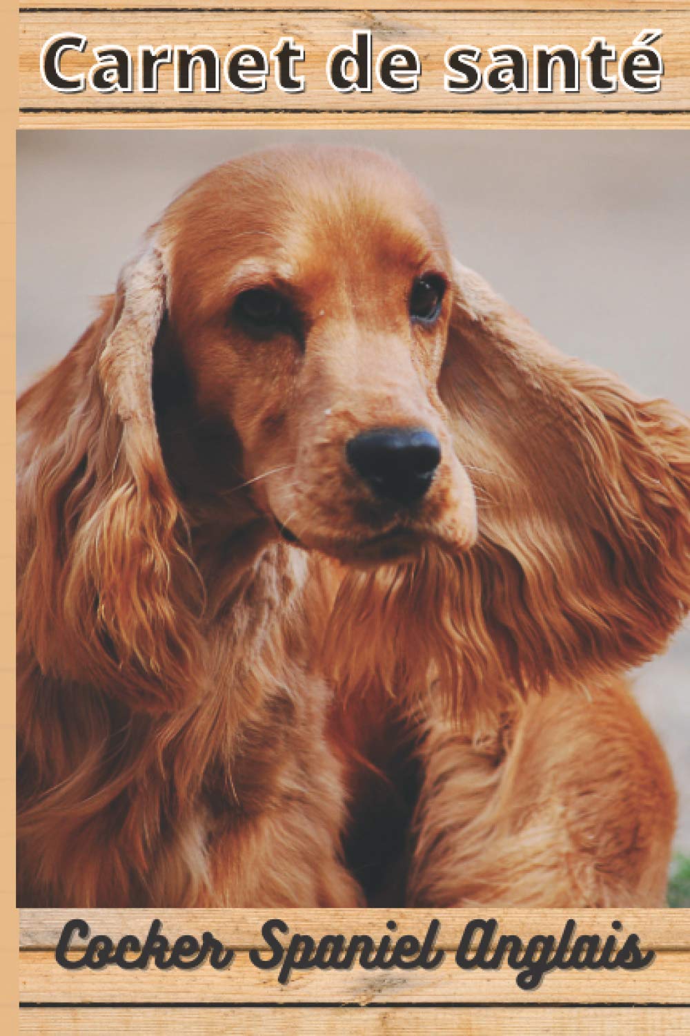 CARNET DE SANTE COCKER SPANIEL ANGLAIS: Mon cahier de suivi santé chien Cocker Spaniel Anglais à remplir ou compléter | Mon carnet santé chien |... cm sur 22,86 cm 101 pages (French Edition) baixar o livro de graça