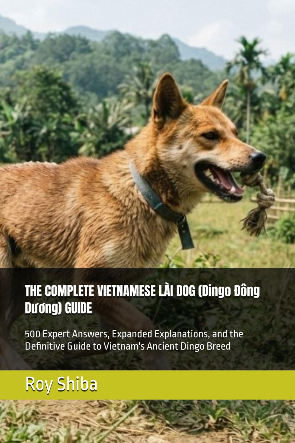 capítulo por capítulo baixar THE COMPLETE VIETNAMESE LÀI DOG (Dingo Đông Dương) GUIDE: 500 Expert Answers, Expanded Explanations, and the Definitive Guide to Vietnam's Ancient Dingo Breed