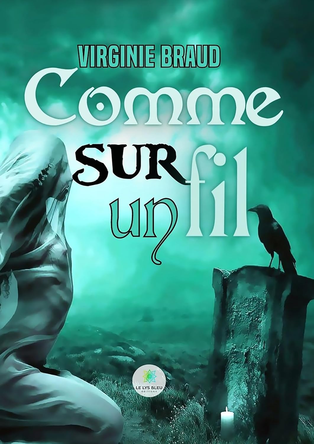 Comme sur un fil (French Edition) baixar livro de graça