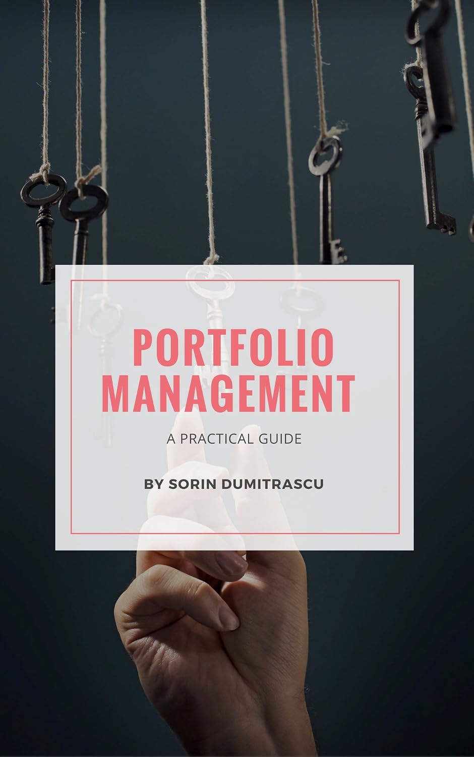 Portfolio Management: A Practical Guide (Strategic Book 2) (English Edition) baixar livro de graça