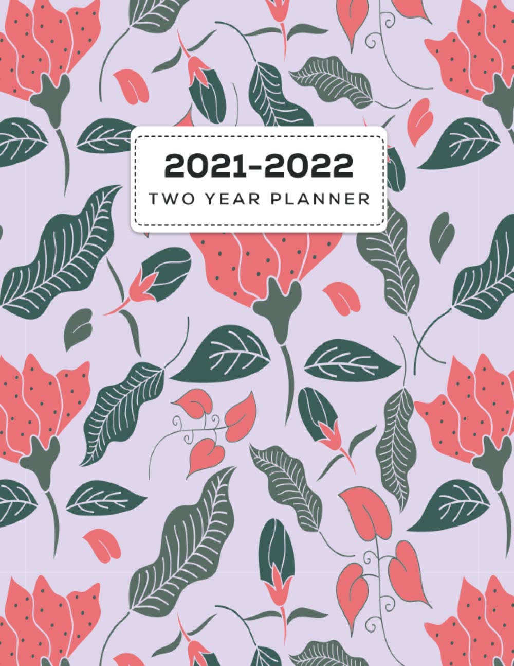 capítulo por capítulo baixar 2021-2022 Two Year Planner: Daily Appointment Notebook Password Log & Birthday Reminder 24 Months Calendar Monthly Planner and Agenda Schedule Organizer & Federal Holidays