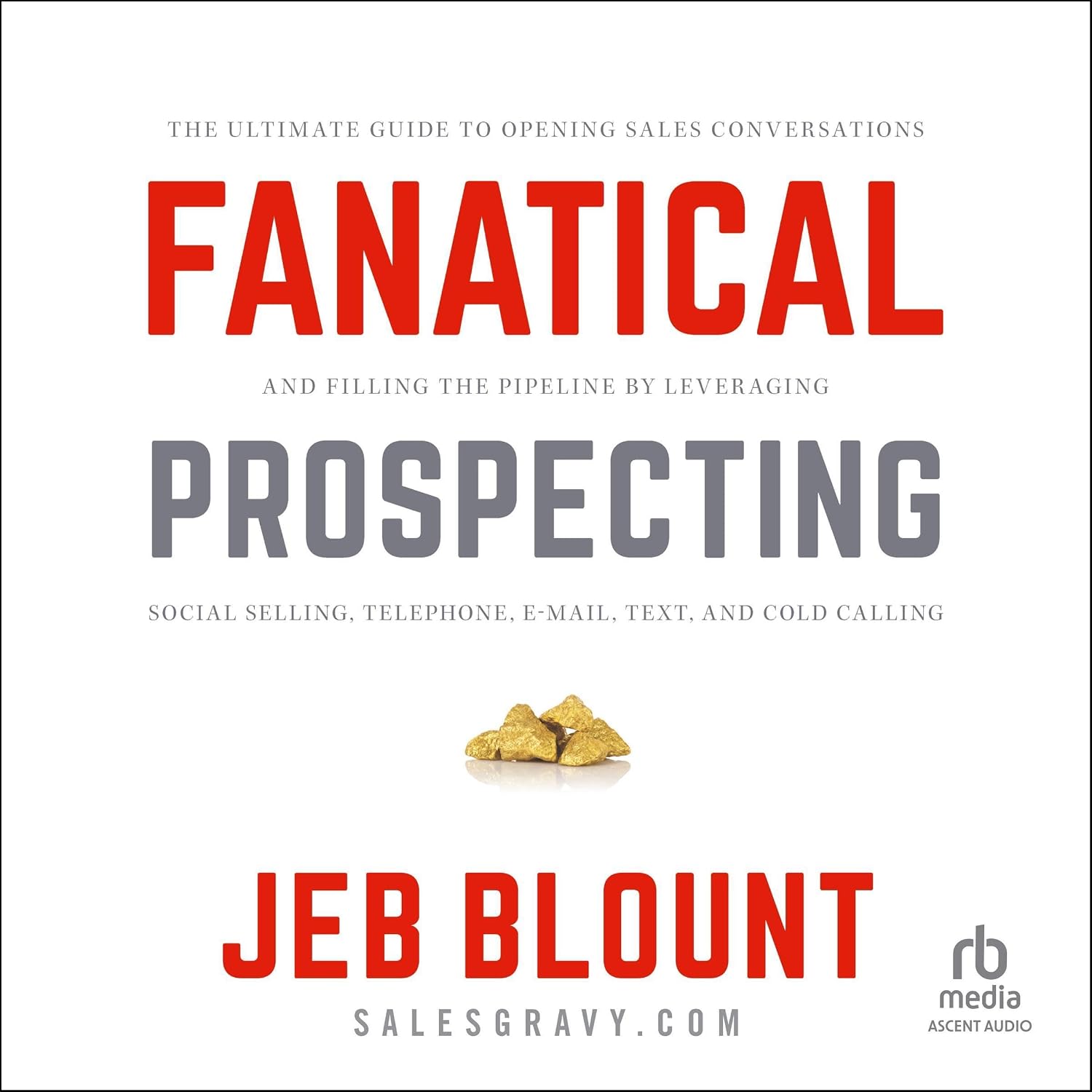 Fanatical Prospecting: The Ultimate Guide to Opening Sales Conversations and Filling the Pipeline by Leveraging Social Selling, Telephone, Email, Text, and Cold Calling baixar livro de graça