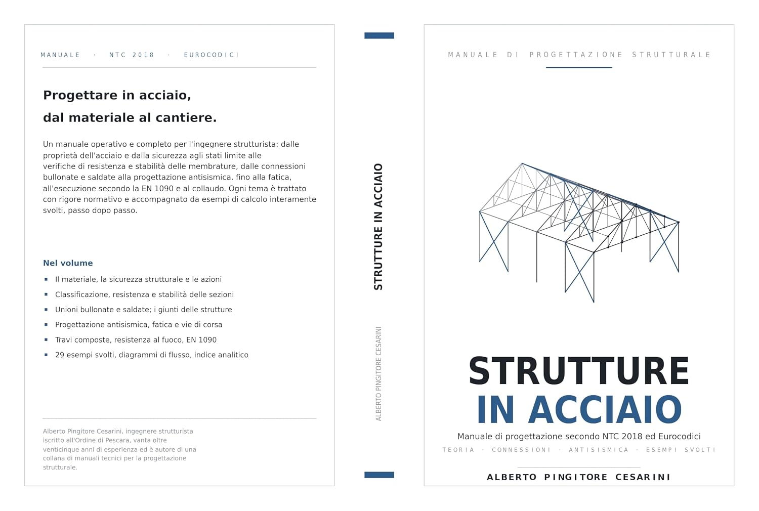 ler totalmente Strutture in Acciaio: Manuale di progettazione secondo NTC 2018 ed Eurocodici — Teoria, connessioni, antisismica ed esempi di calcolo svolti. (Italian Edition)