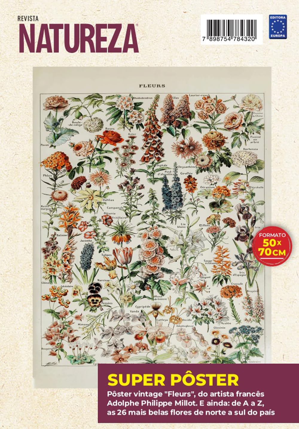 Adolphe Philippe Millot: Fleurs 1 - Superpôster Natureza baixar o livro de graça