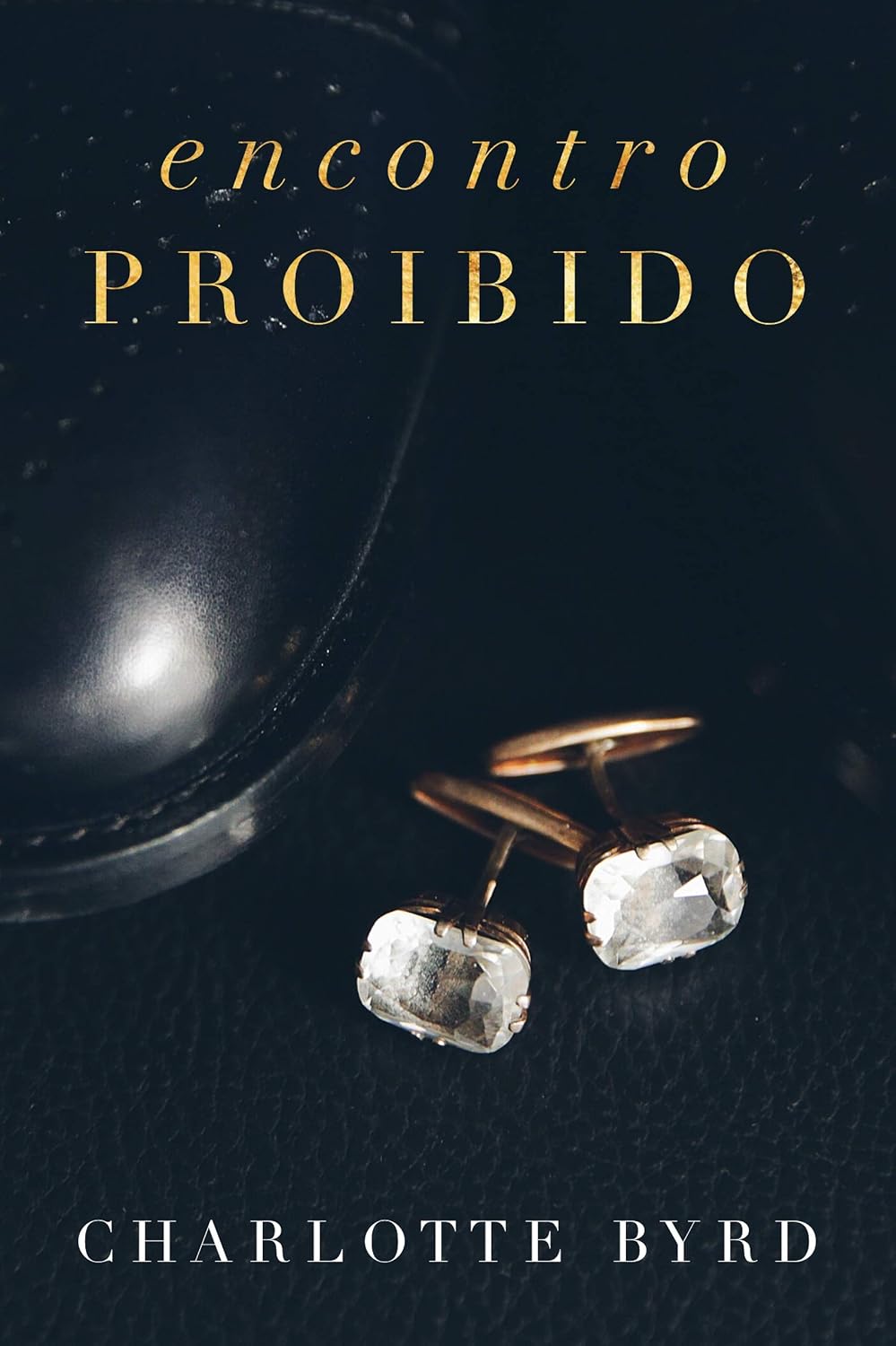 Encontro Proibido baixar o livro de graça