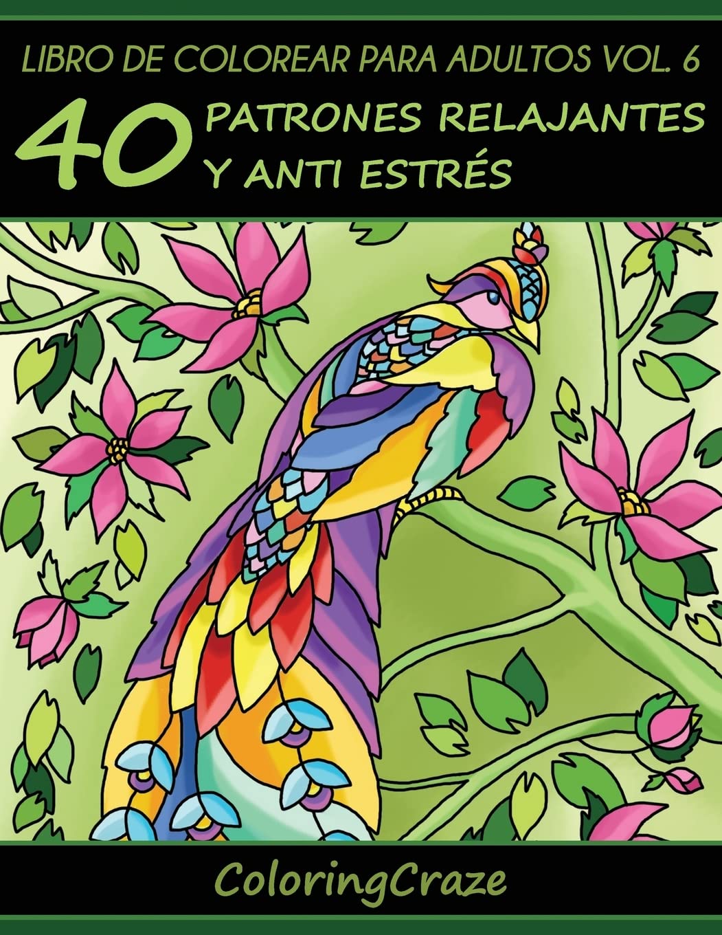 capítulo por capítulo baixar Libro de Colorear para Adultos Volumen 6: 40 Patrones Relajantes y Anti Estrés