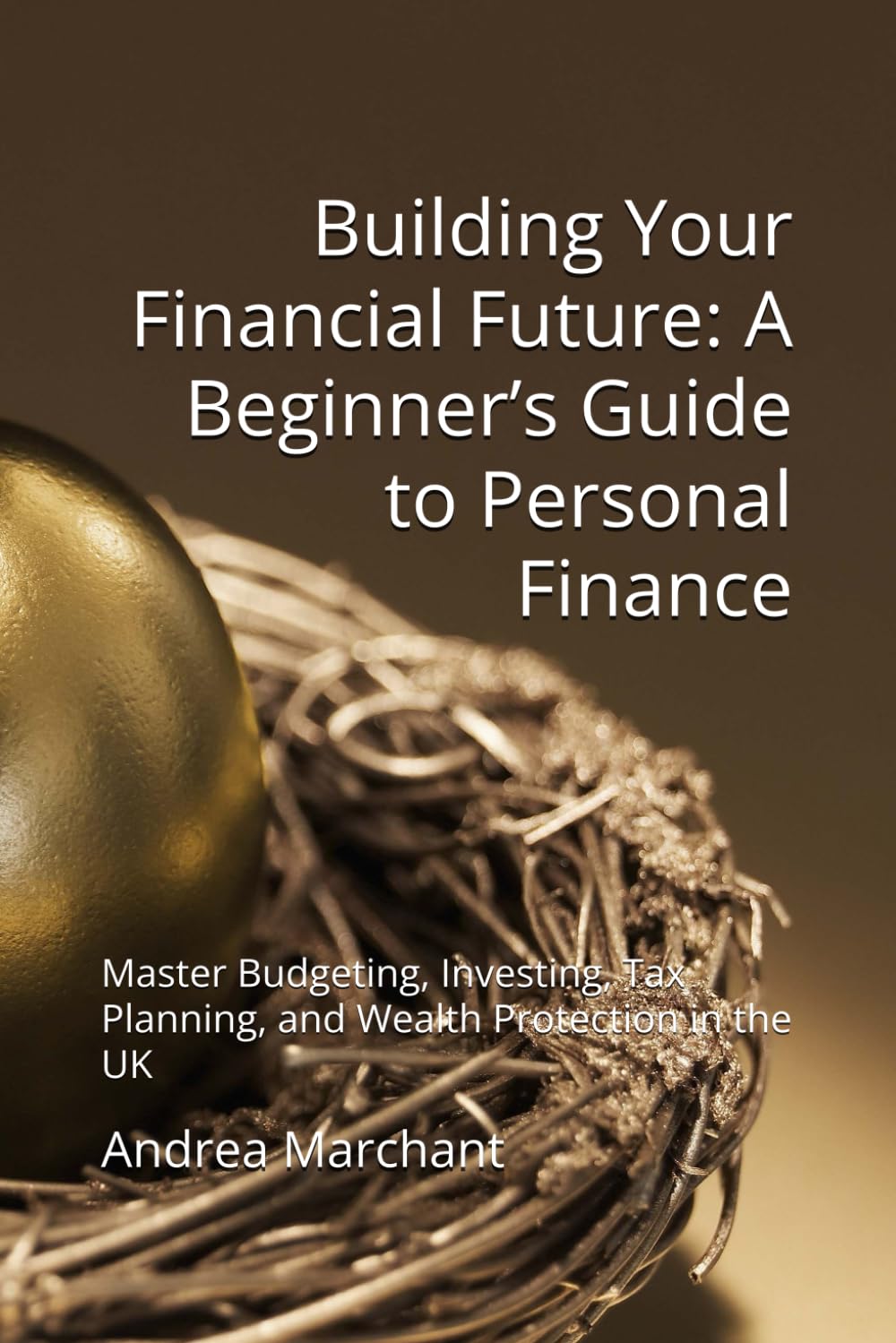 Building Your Financial Future: A Beginner’s Guide to Personal Finance: Master Budgeting, Investing, Tax Planning, and Wealth Protection in the UK baixar livro de graça