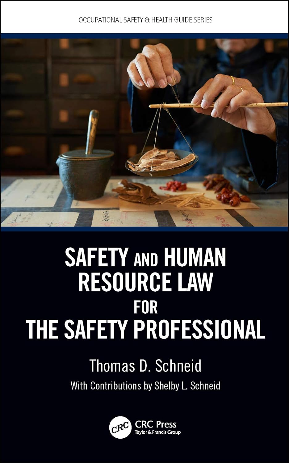 Safety and Human Resource Law for the Safety Professional (Occupational Safety & Health Guide Series) (English Edition) baixar o livro de graça