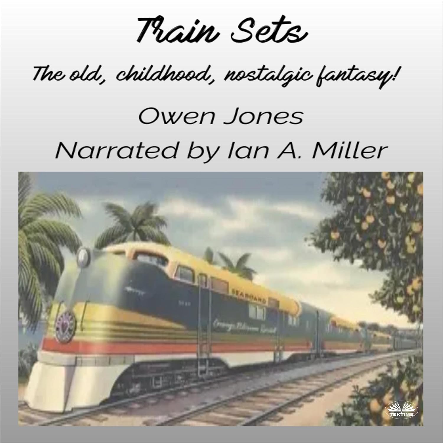 Train Sets: The Old, Childhood, Nostalgic Fantasy! (How To...) baixar o livro de graça