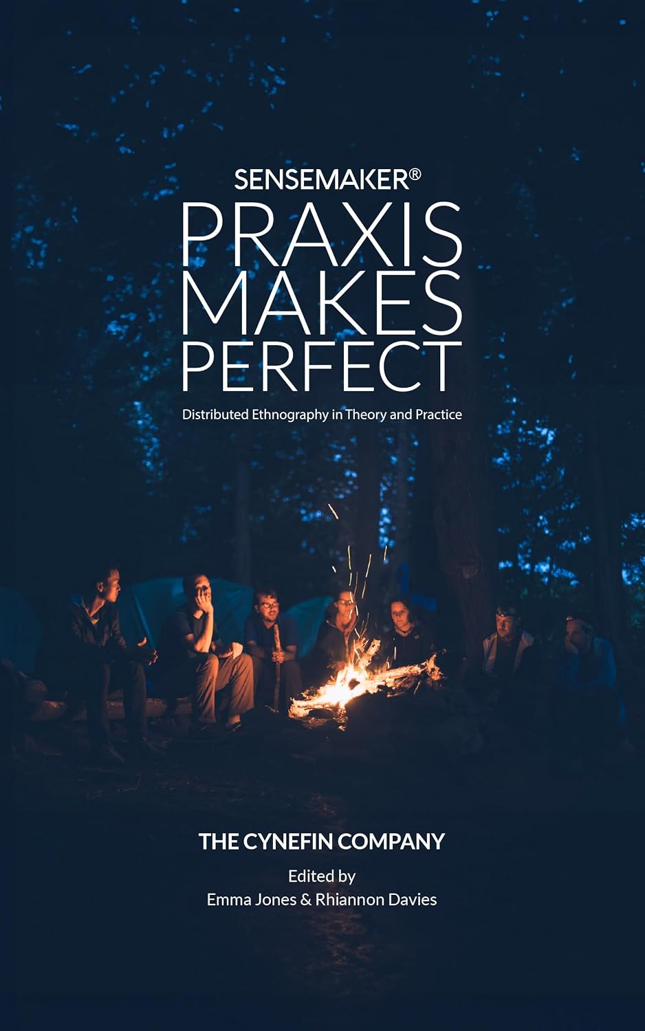 ler totalmente SenseMaker®: Praxis Makes Perfect: Distributed Ethnography in Theory and Practice (English Edition)