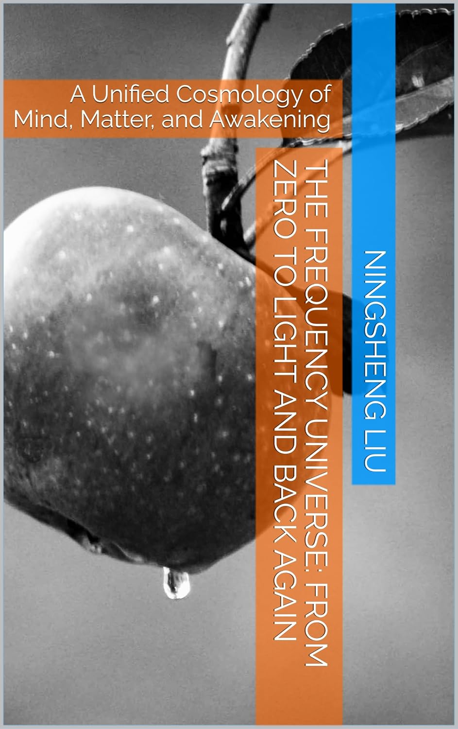 ler totalmente The Frequency Universe: From Zero to Light and Back Again: A Unified Cosmology of Mind, Matter, and Awakening (English Edition)