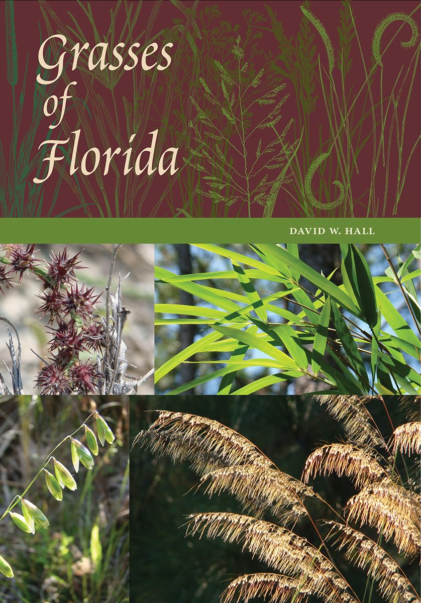 Grasses of Florida baixar o livro de graça