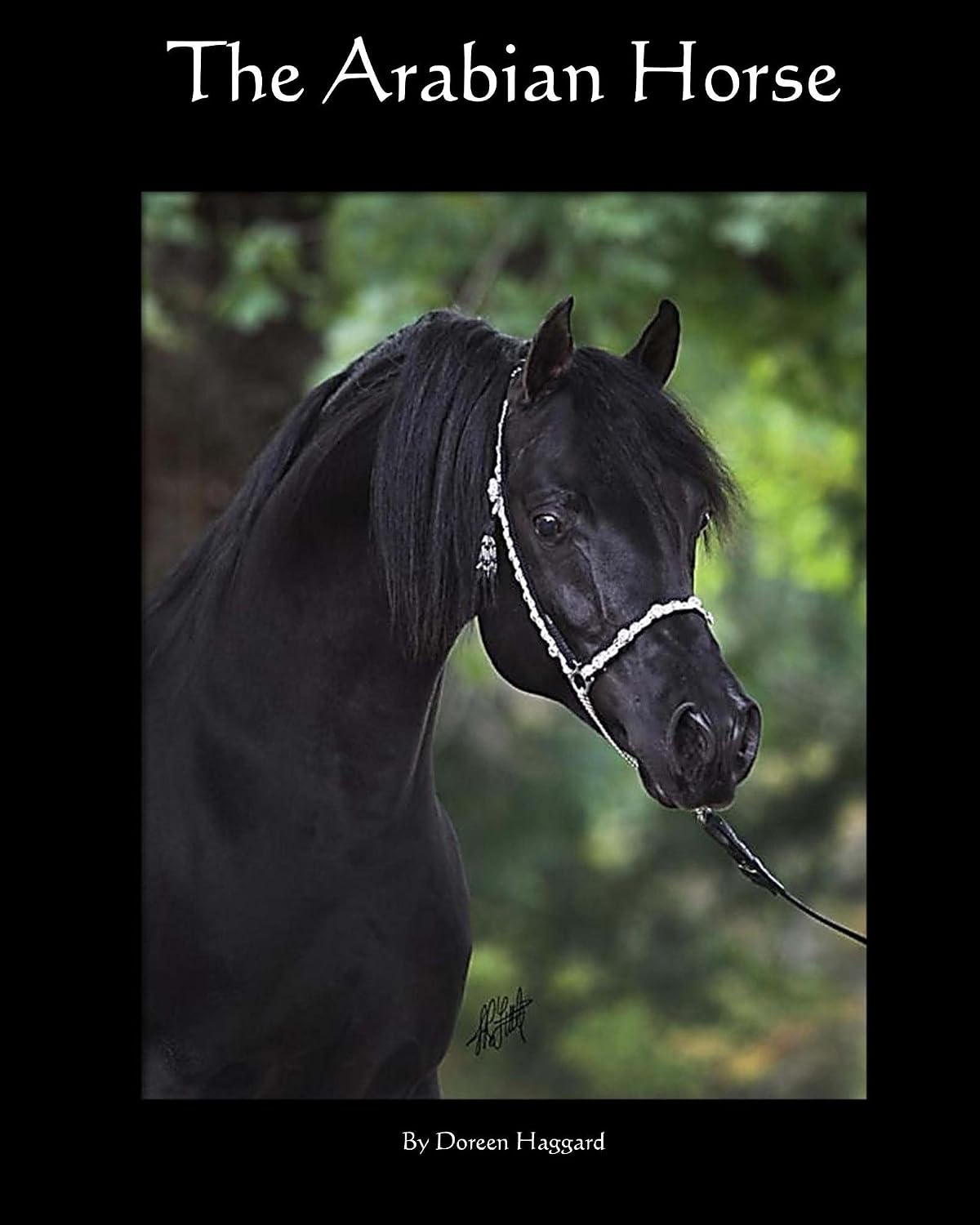 The Arabian Horse (English Edition) baixar livro de graça