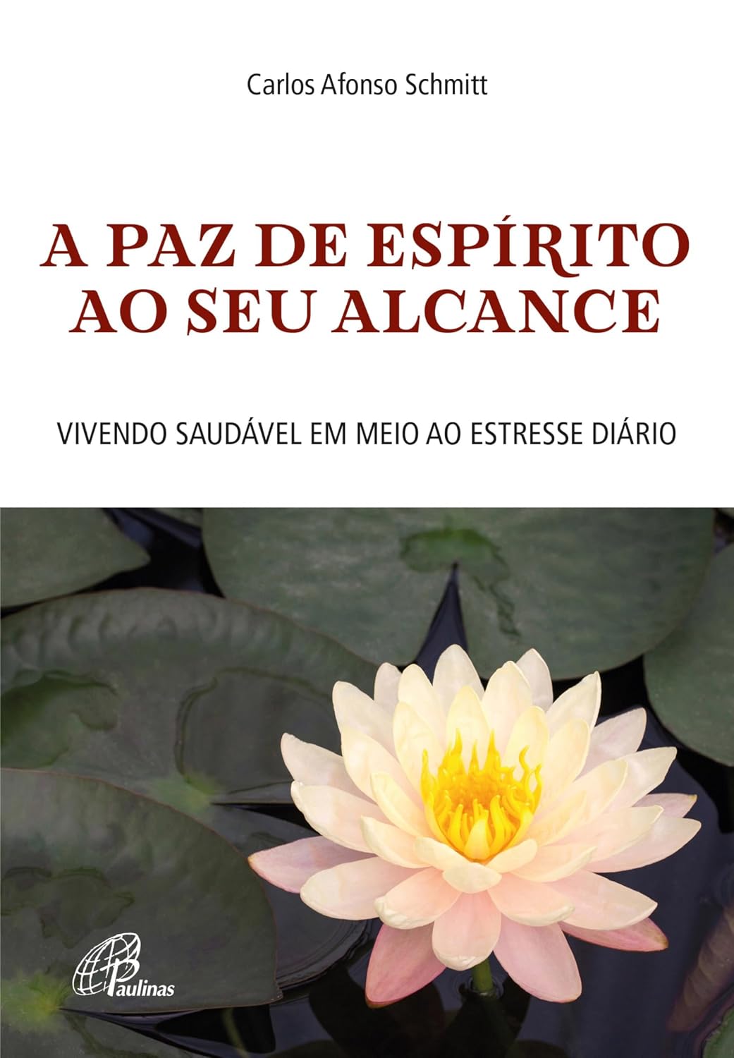 A paz de espírito ao seu alcance: Vivendo saudável em meio ao estresse diário (Céu na terra) baixar livro de graça