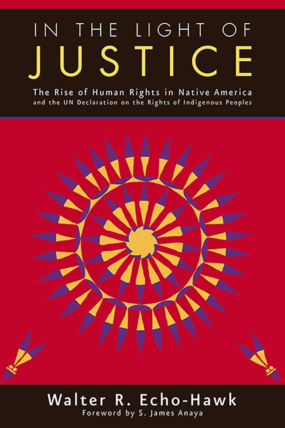 In The Light of Justice: The Rise of Human Rights in Native America (English Edition)