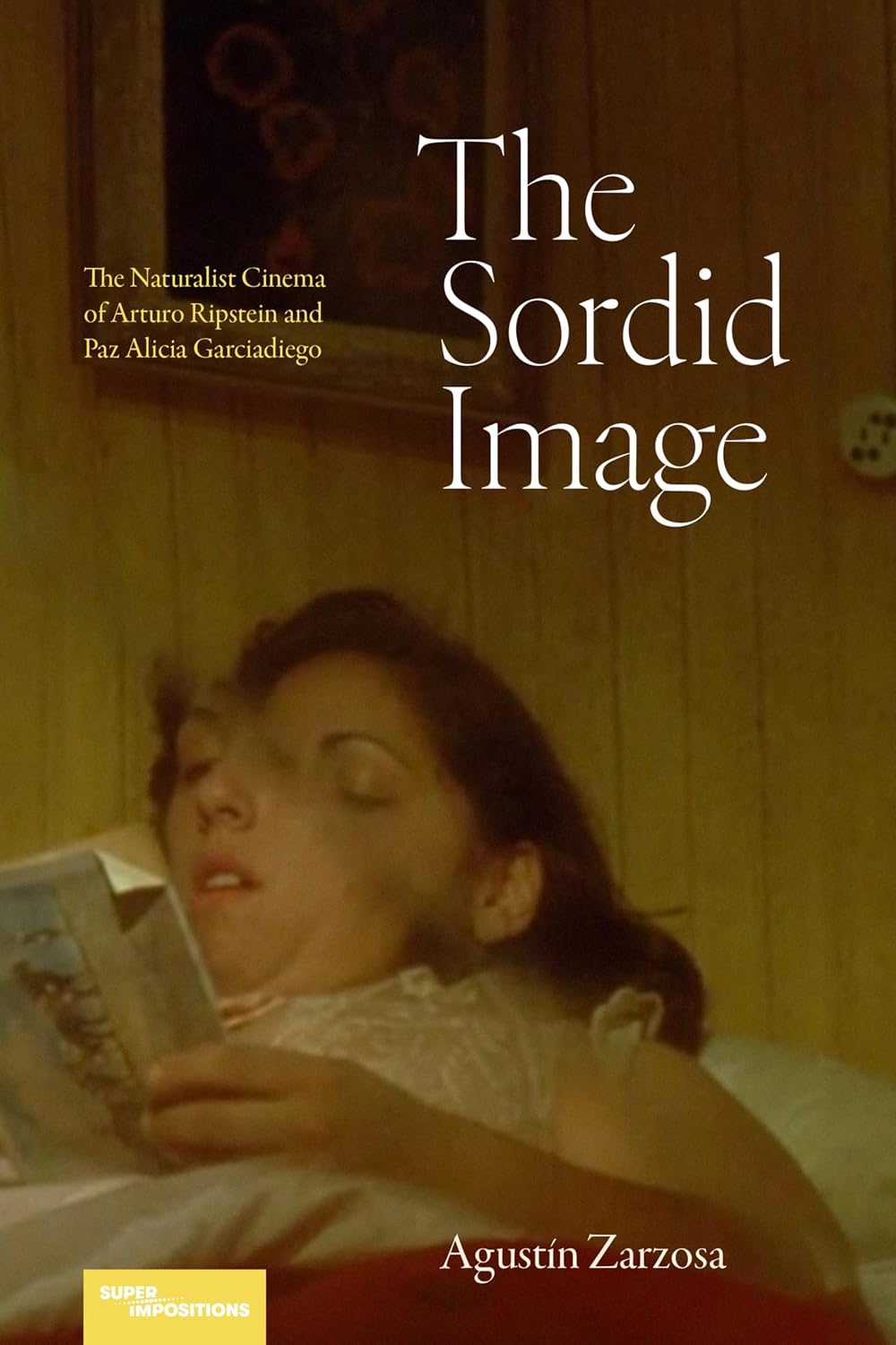 The Sordid Image: The Naturalist Cinema of Arturo Ripstein and Paz Alicia Garciadiego (English Edition) baixar o livro de graça