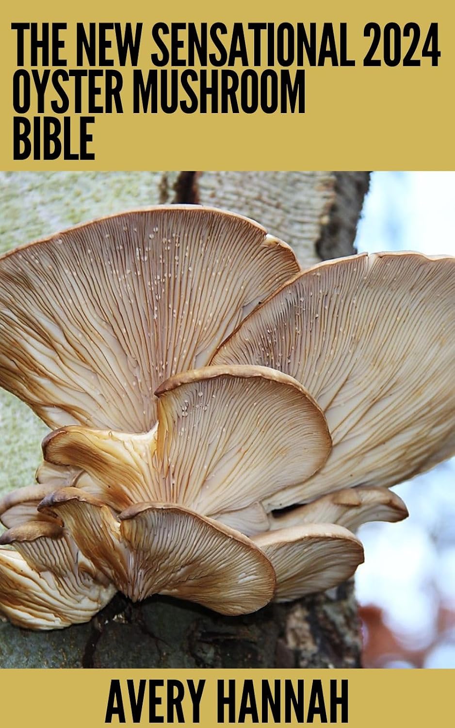 ler totalmente The New Sensational 2024 Oyster Mushroom Bible: The Complete Guide To Safe Use, Cultivation And Benefits Of Oyster Mushroom (English Edition)
