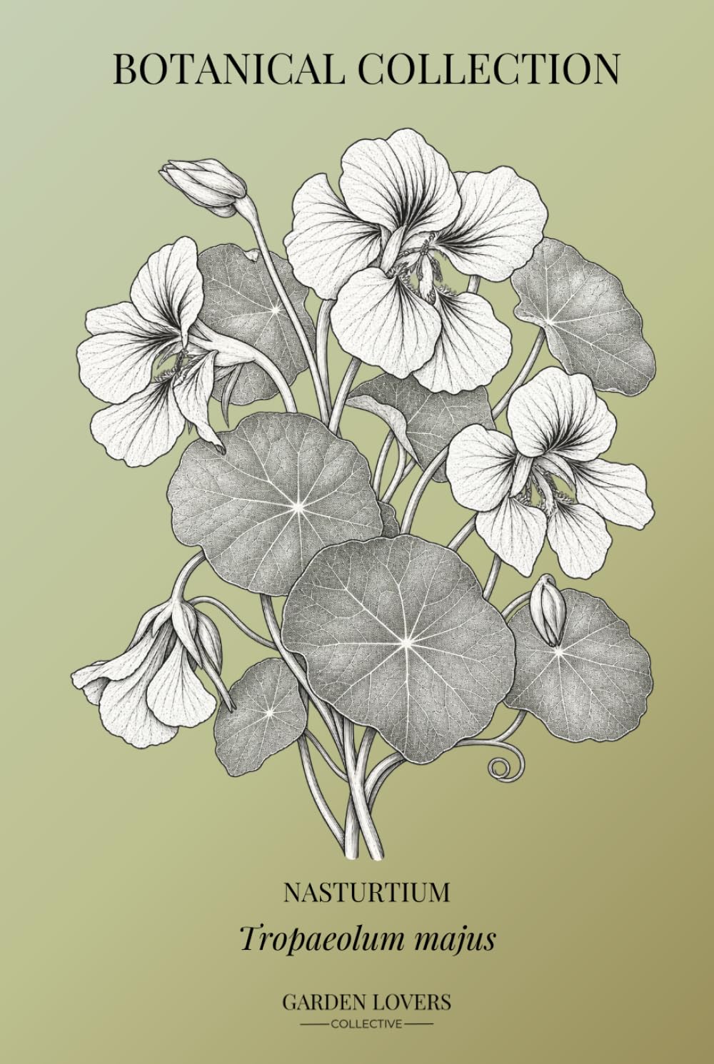 NASTURTIUM: Botanical Notebook Featuring Tropaeolum majus (The Botanical Collection) baixar livro de graça