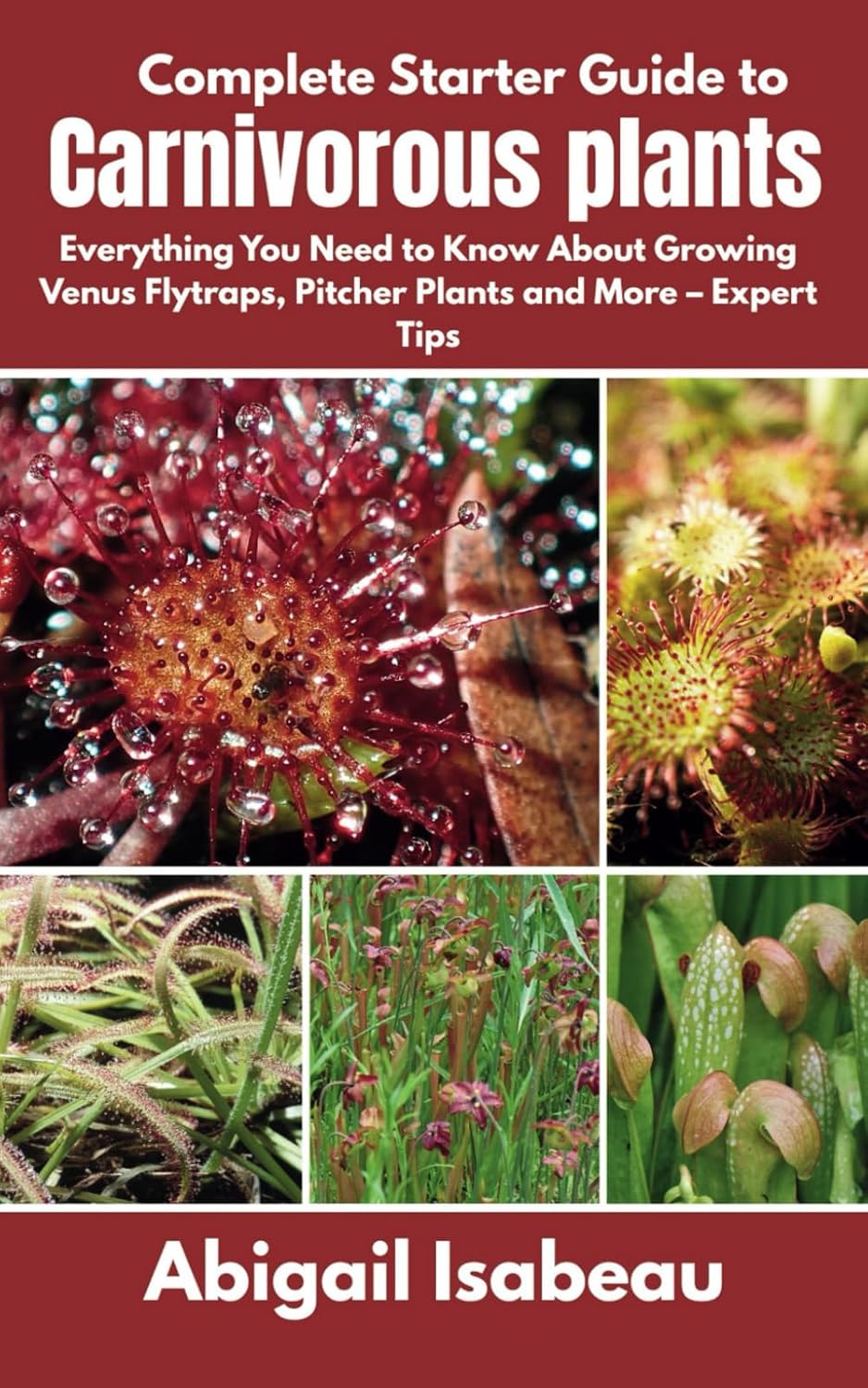 Complete Starter Guide to Carnivorous plants: Everything You Need to Know About Growing Venus Flytraps, Pitcher Plants and More - Expert Tips baixar o livro de graça