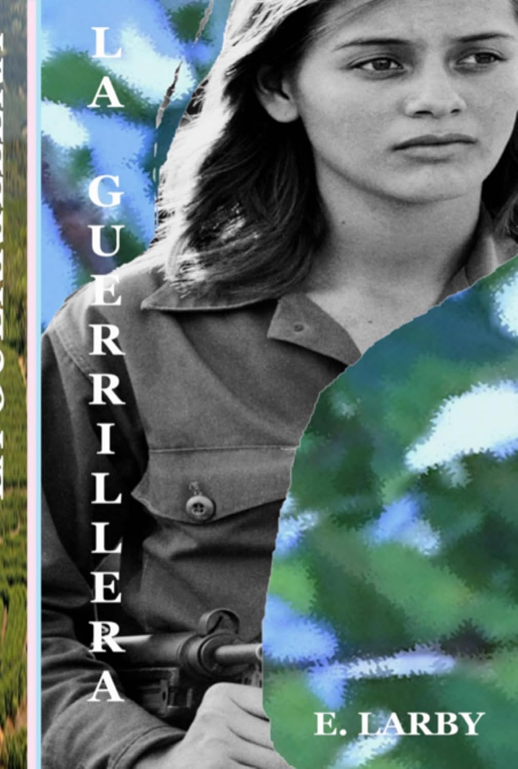 La Guerrillera (Spanish Edition) baixar o livro de graça