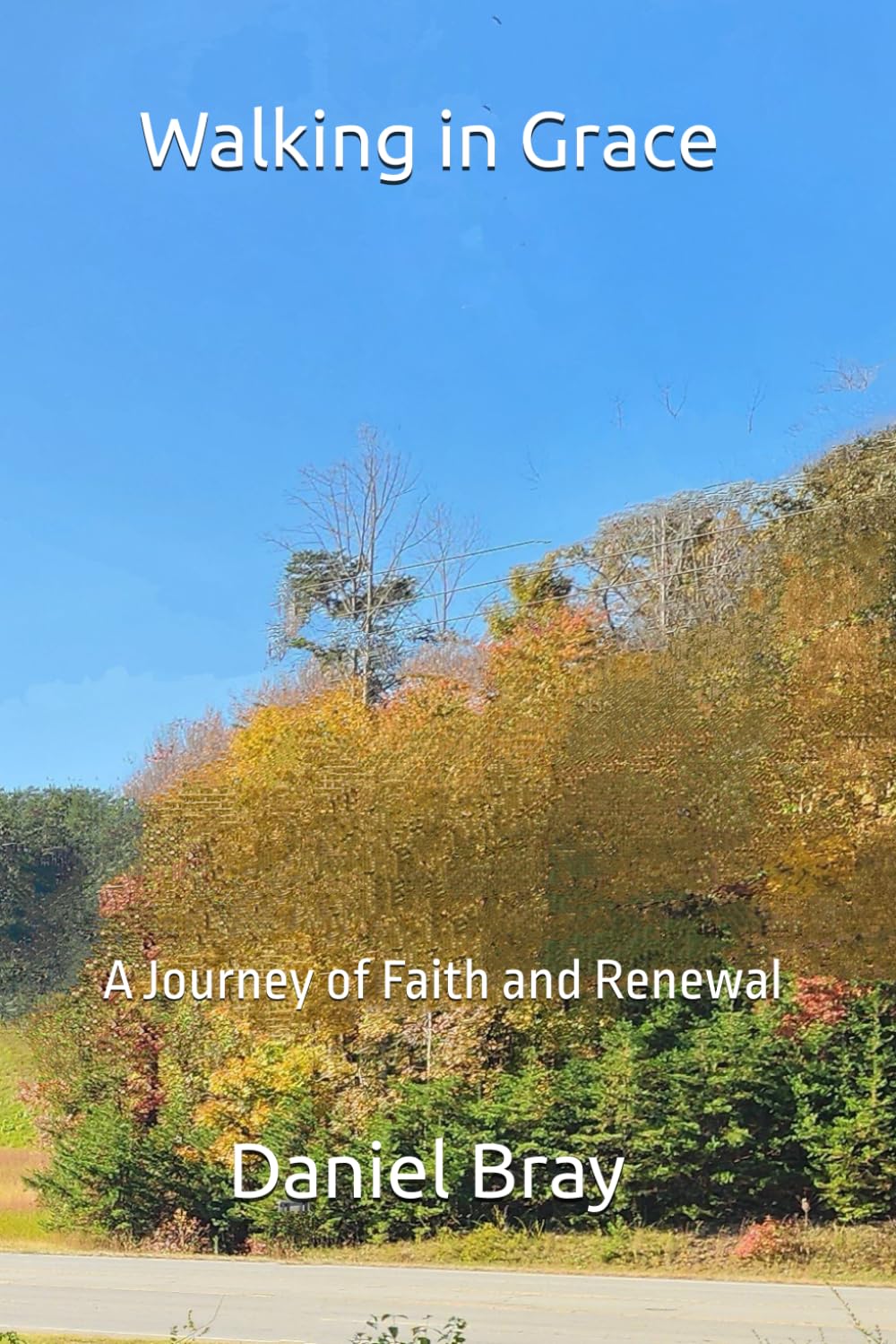 capítulo por capítulo baixar Walking in Grace: A Journey of Faith and Renewal