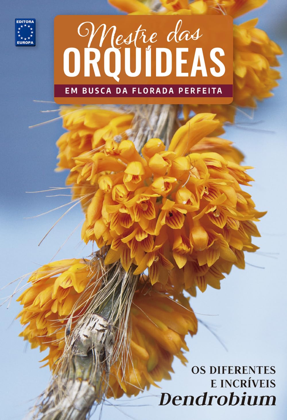 capítulo por capítulo baixar Mestre das Orquídeas - Volume 20: Os diferentes e incríveis Dendrobium