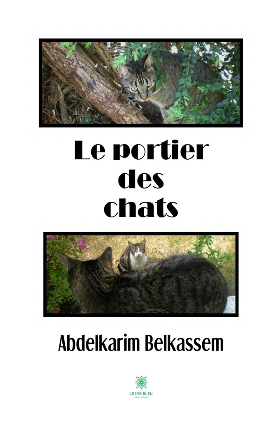 capítulo por capítulo baixar Le portier des chats: Roman (French Edition)