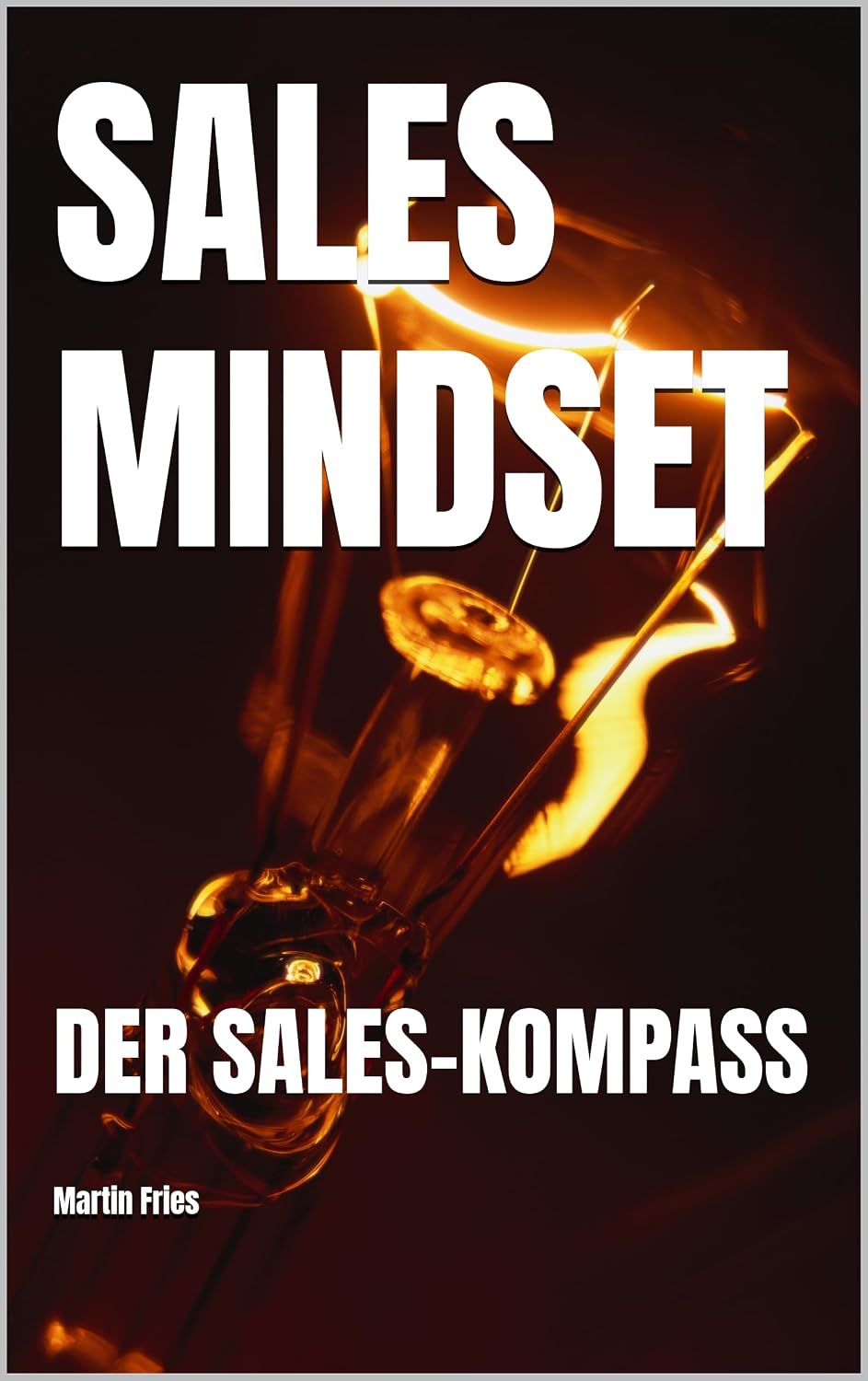 ler totalmente SALES MINDSET: DER SALES-KOMPASS (German Edition)