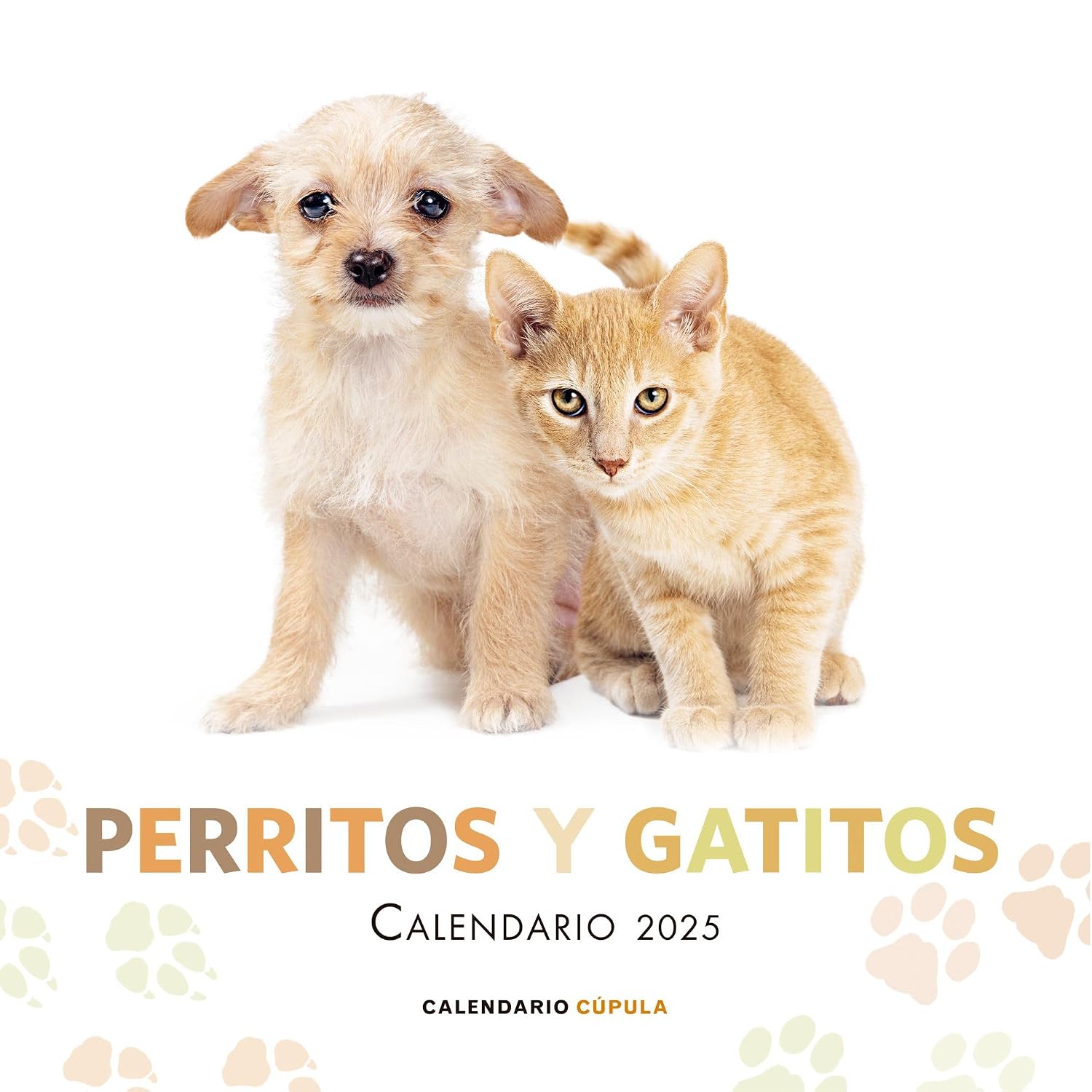 Calendario Perritos y Gatitos 2025 baixar o livro de graça