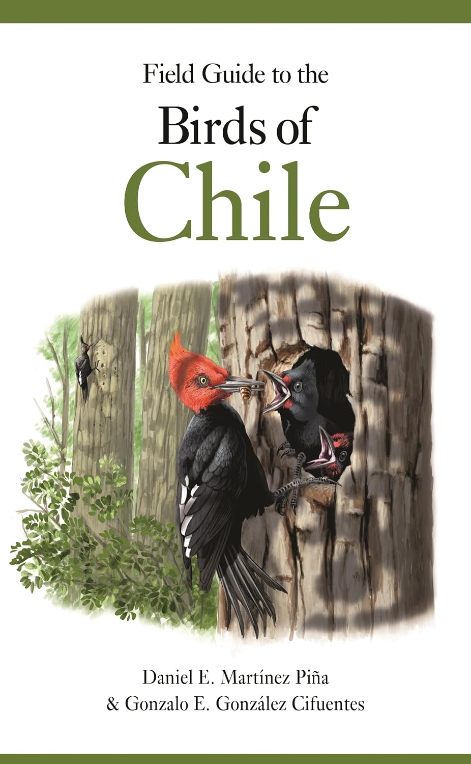 Field Guide to the Birds of Chile baixar livro de graça